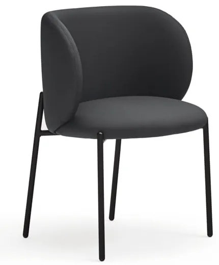 Set de scaune de sufragerie negru 2 buc. tapițat Mogi – Teulat