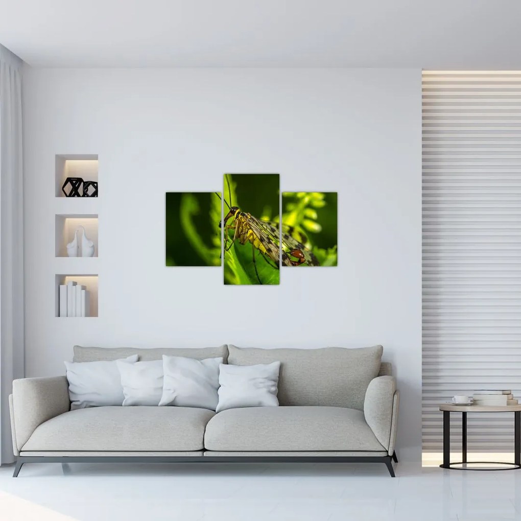 Tablou cu omide (90x60 cm)