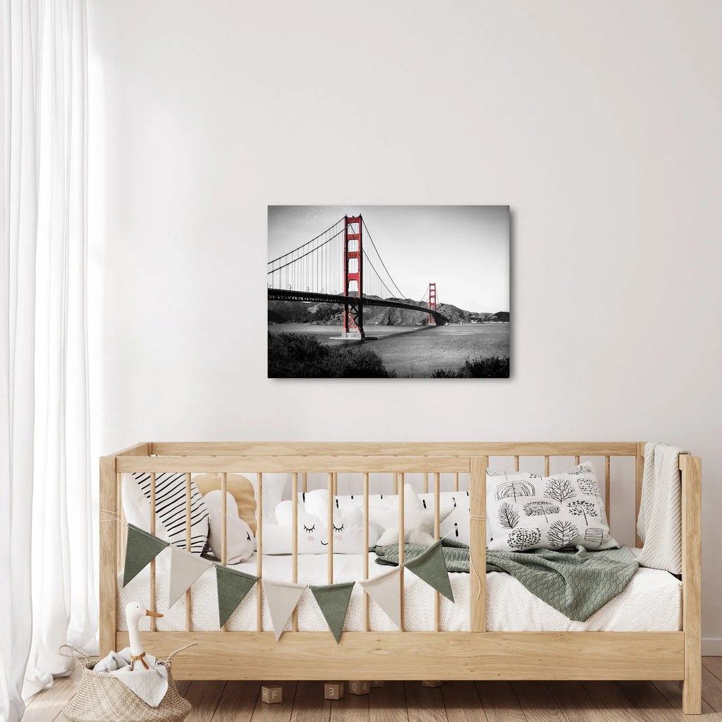 Tablou cu pod (70x50 cm)