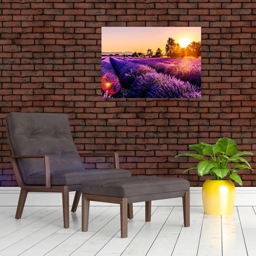 Tablou pe sticlă cu câmp de lavanda (70x50 cm)