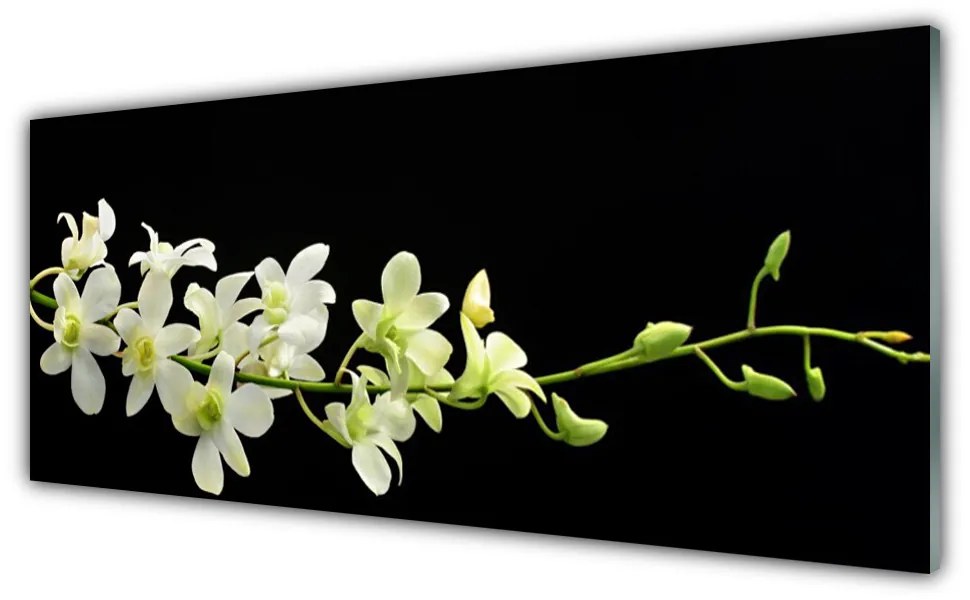 Tablouri acrilice Flori Floral Alb Verde