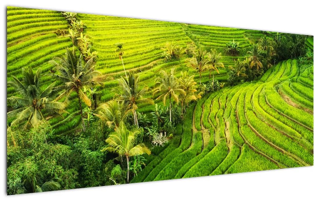 Tablou - Terase de orez (120x50 cm)