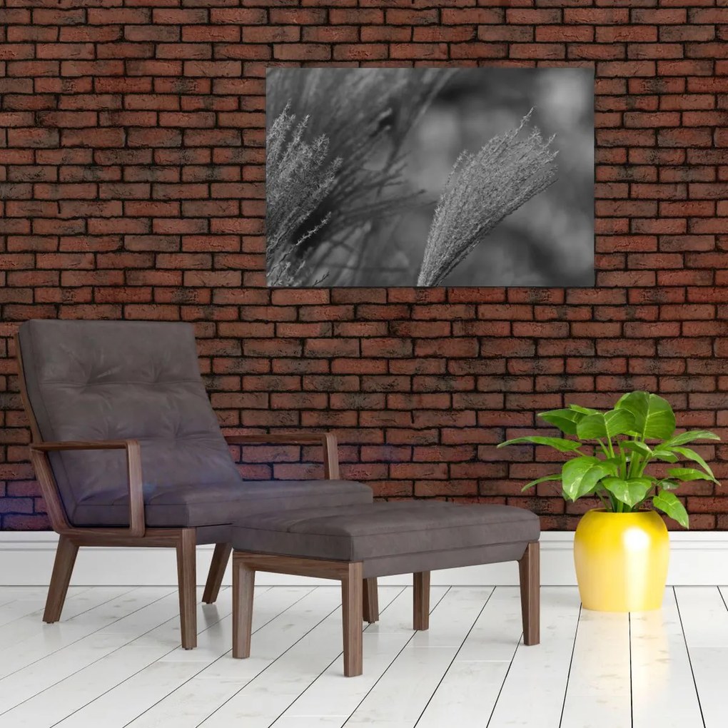 Tablou - Iarbă de pampas uscată (90x60 cm)