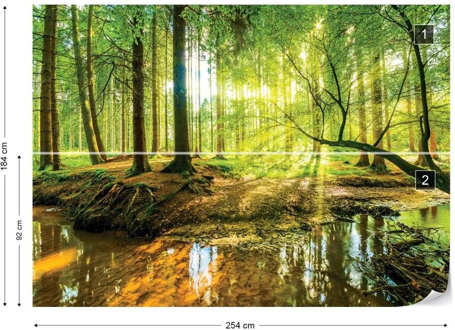 Fototapet GLIX - Forest Lake + adeziv GRATUIT Tapet nețesute - 254x184 cm