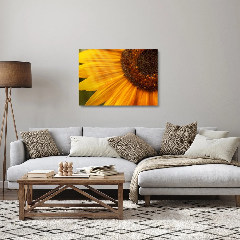 Tablou pe sticlă - Floarea-soarelui (70x50 cm)