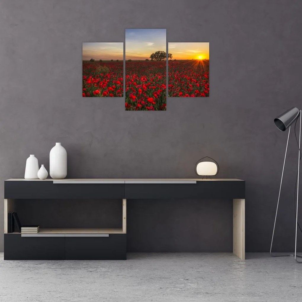 Tablou cu lunca și macii (90x60 cm)