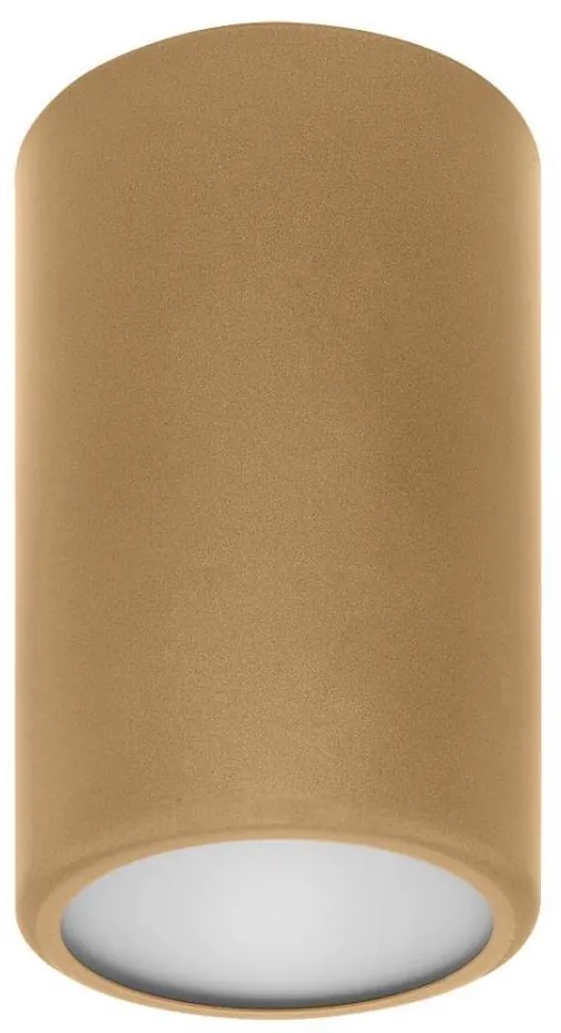 Spot CLEO 1xE27/24W/230V auriu