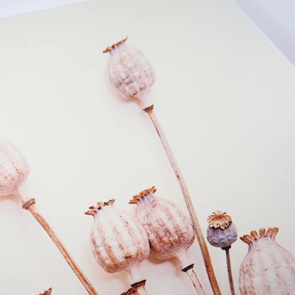 Decoratiune de perete POPPY WOOD Ø 58 cm