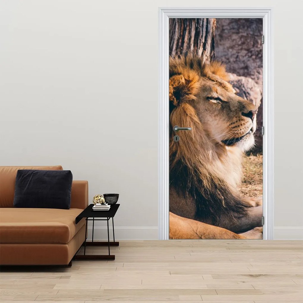 Fototapet pentru ușă - Leul culcat (95x205cm)