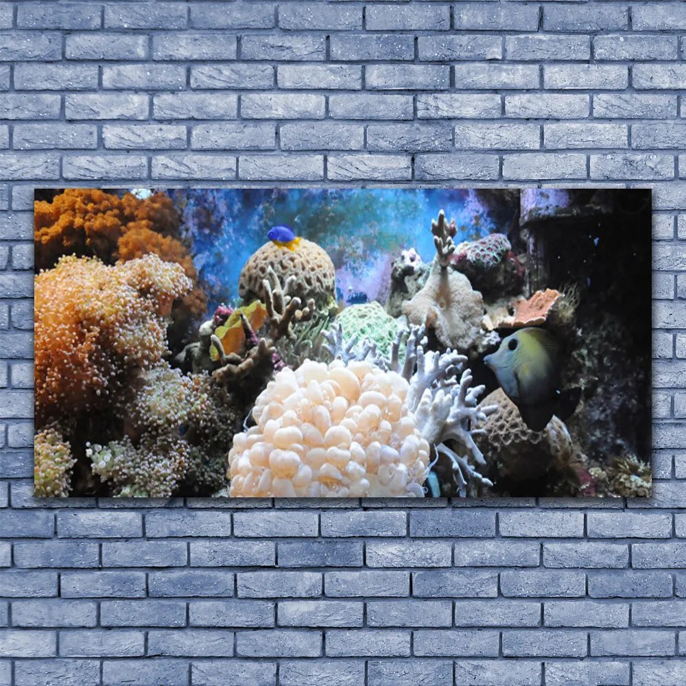 Tablou pe panza canvas Coral Reef Natura Gri Alb Galben