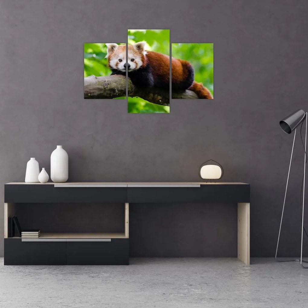 Tablou cu panda roșie (90x60 cm)