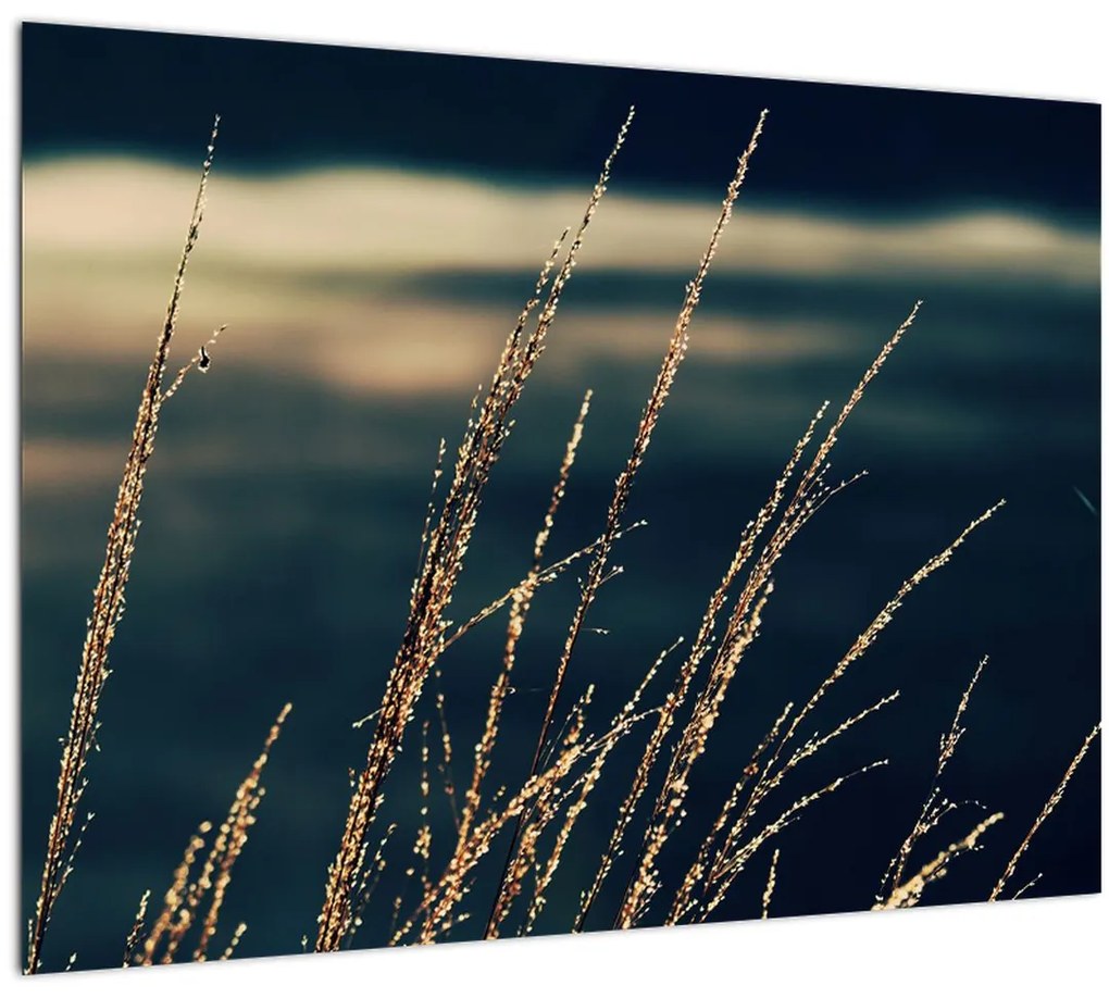 Tablou pe sticlă cu ierburi (70x50 cm)