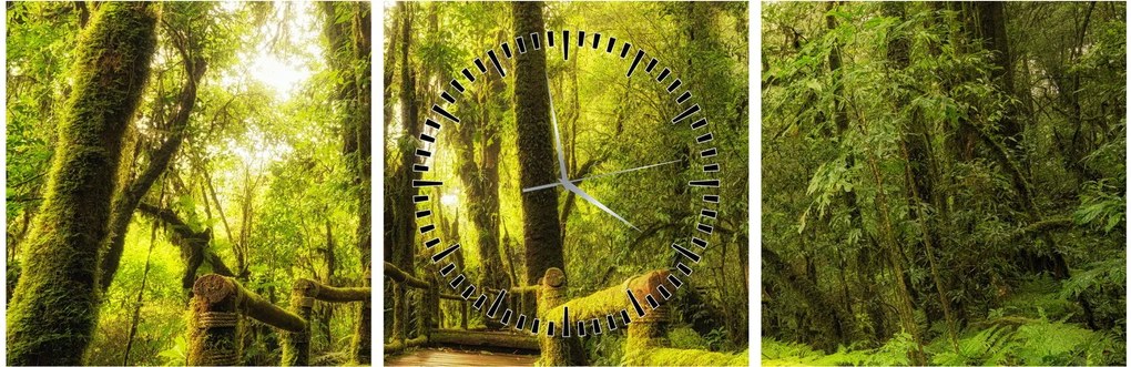 Tablou junglei cu mușchi (cu ceas) (90x30 cm)