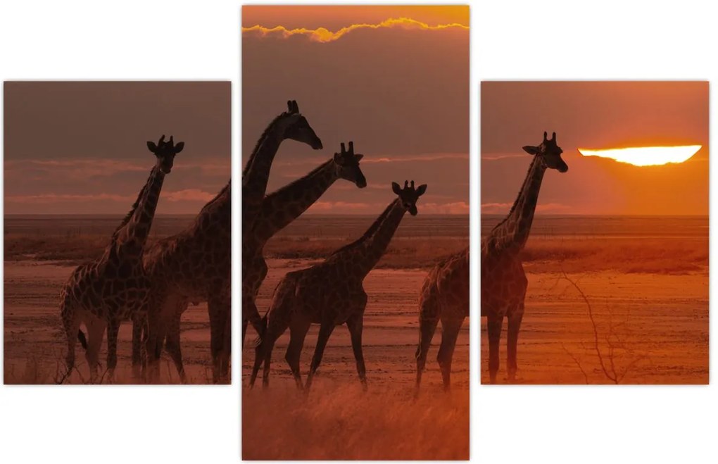 Tablou - Girafe în savana africană (90x60 cm)