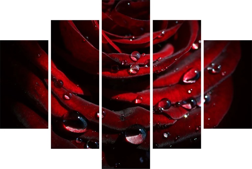 Tablou - Trandafir (150x105 cm)