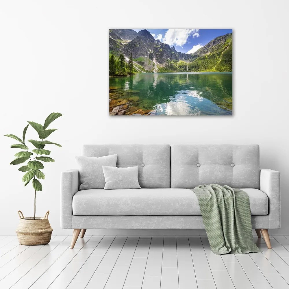 Print pe pânză Marine ochi tatry