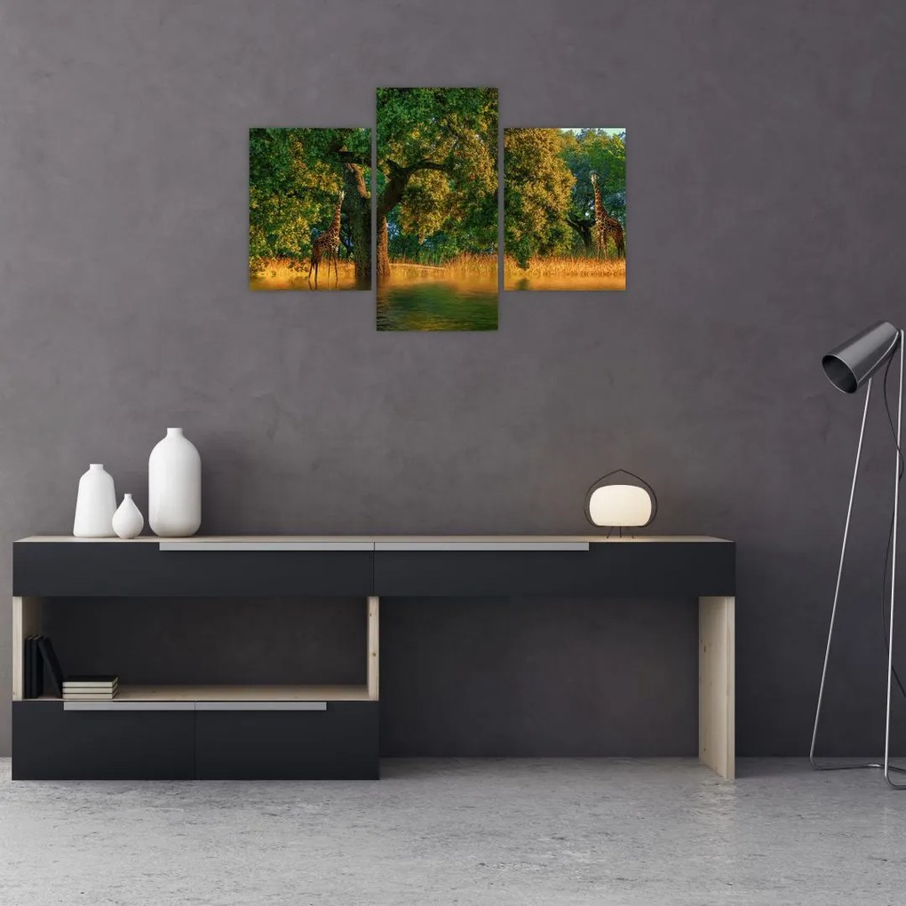 Tablou cu girafe în natură (90x60 cm)