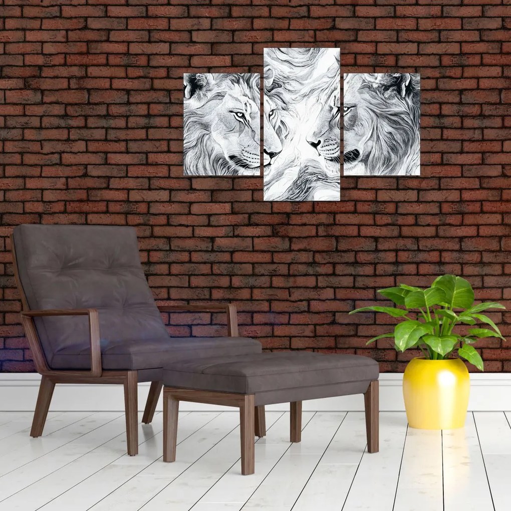 Tablou - Capete de lei desenate (90x60 cm)