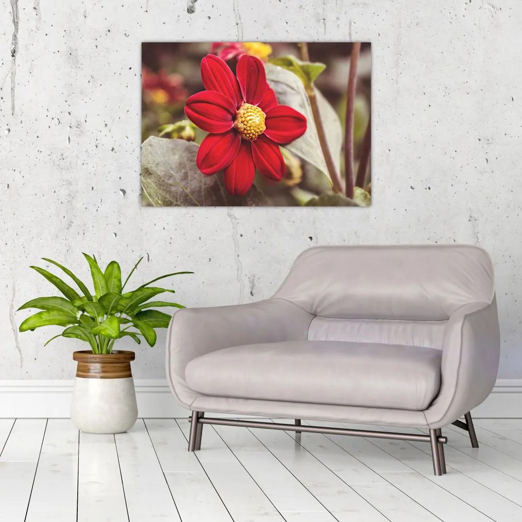 Tablou cu floare (70x50 cm)