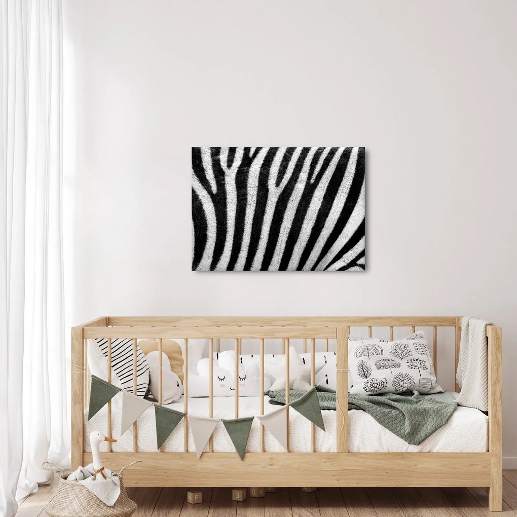 Tablou cu piele de zebră (70x50 cm)