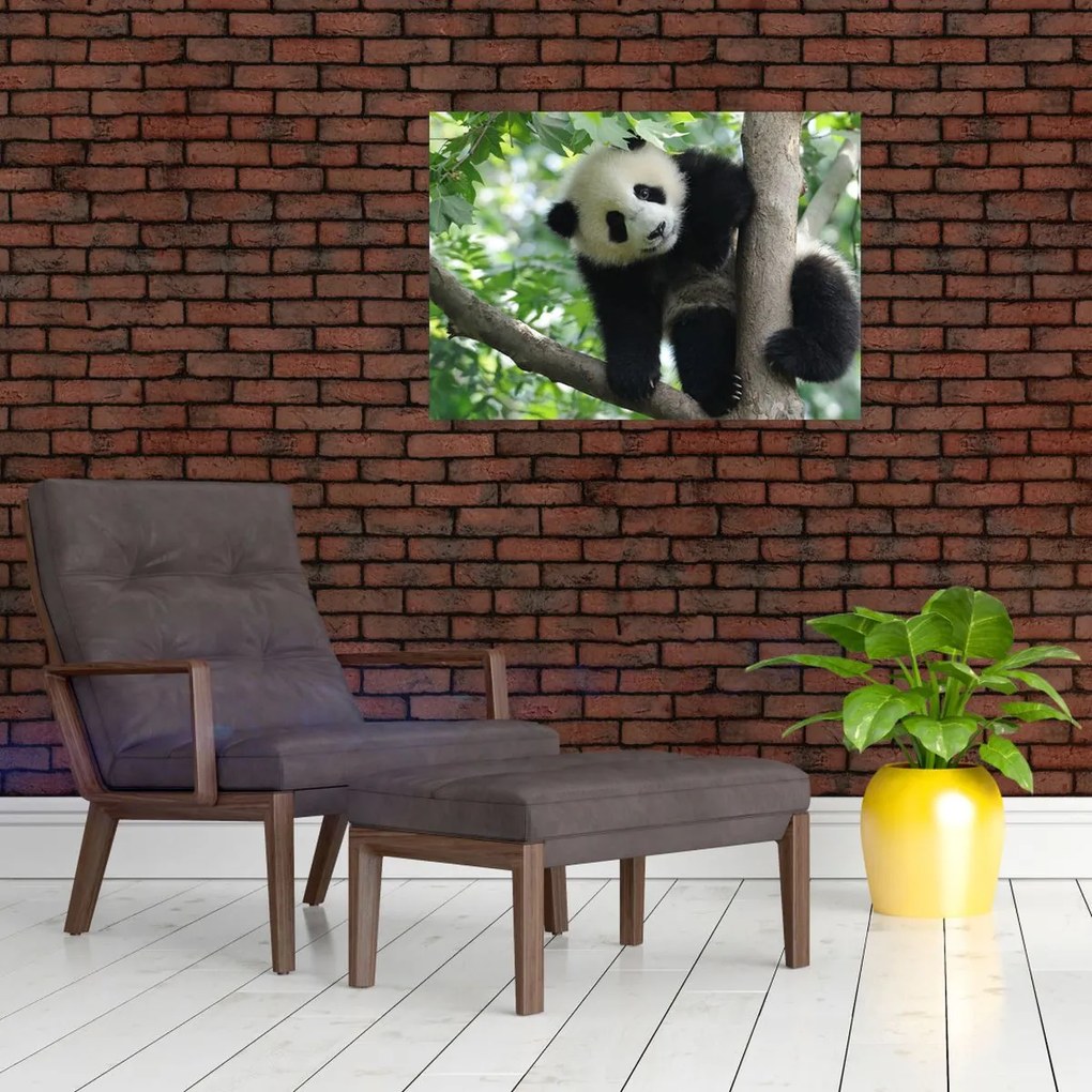 Tablou - Panda in copac (70x50 cm)