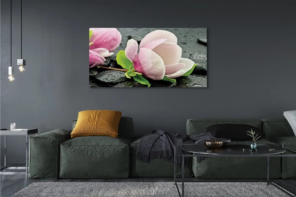 Tablouri canvas pietre Magnolia