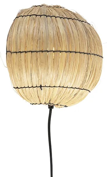 Aplic oriental iarba de mare - Canno
