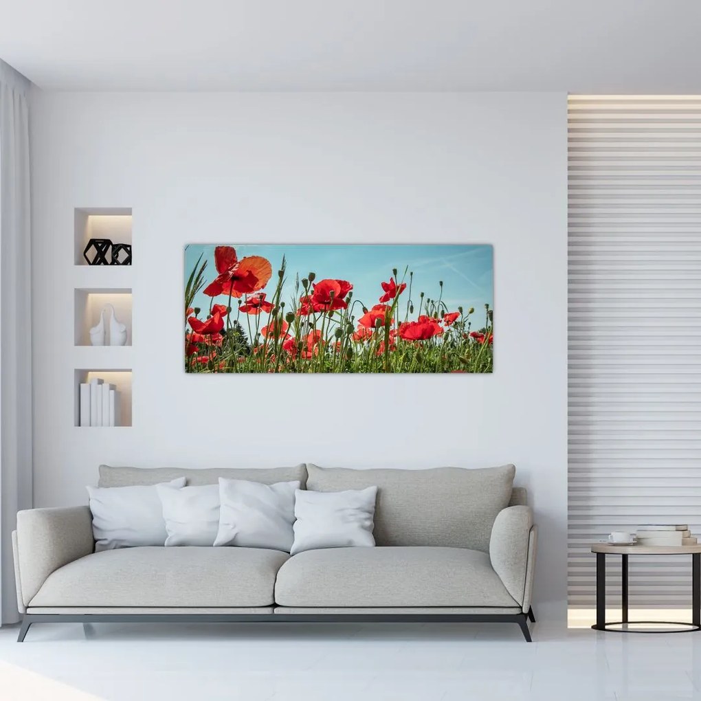 Tablou - Pe câmpul cu maci (120x50 cm)
