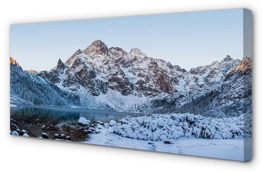 Tablouri canvas lac de iarnă de munte