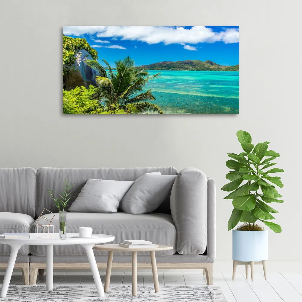 Tablou canvas Seychelles coast