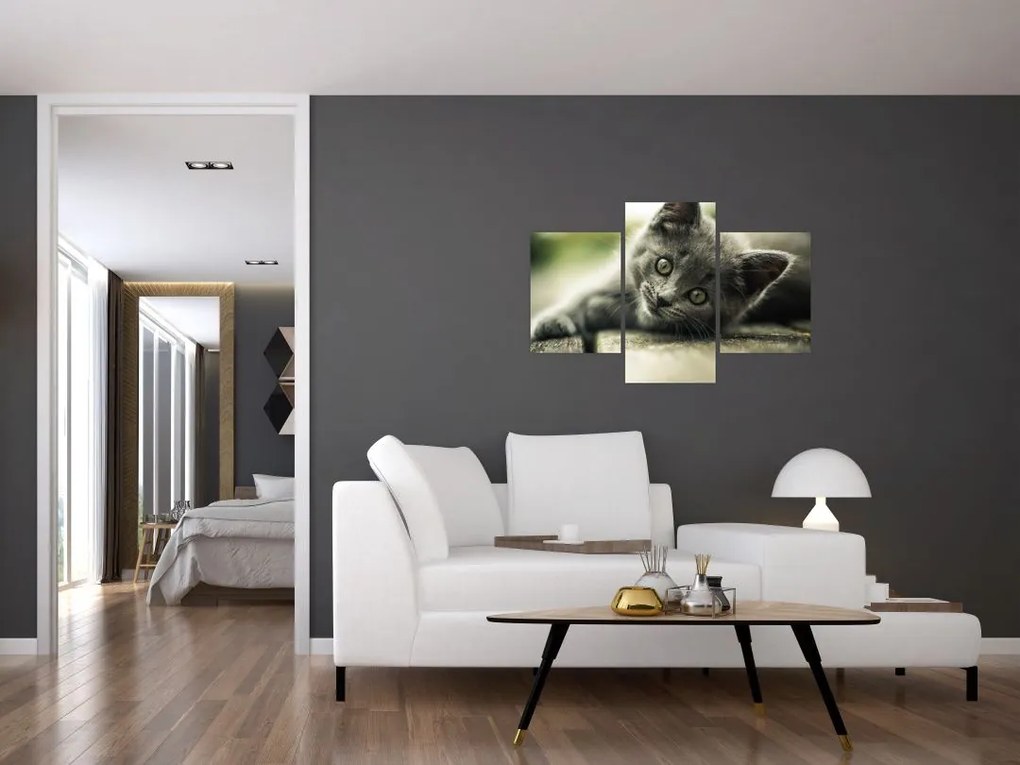 Tablou cu pisicuța (90x60 cm)