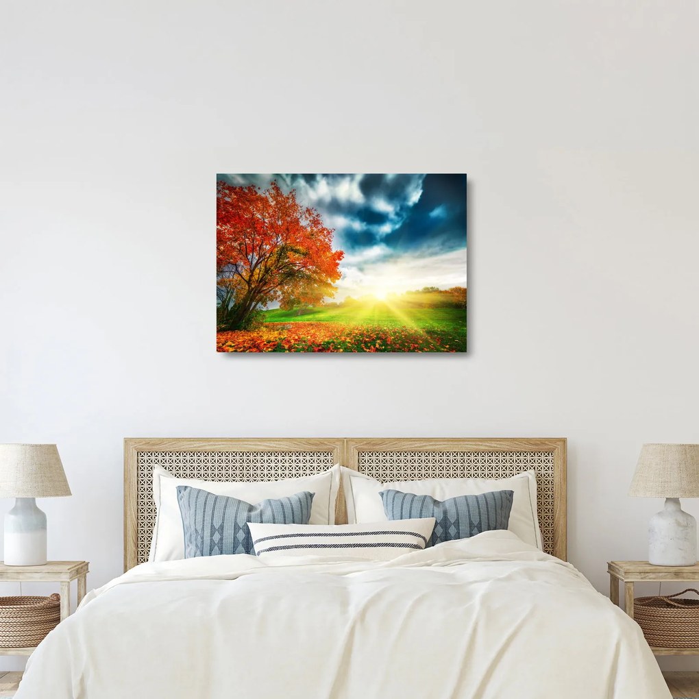 Tablou pe sticlă peisaj cu scufundat în razele solare (70x50 cm)