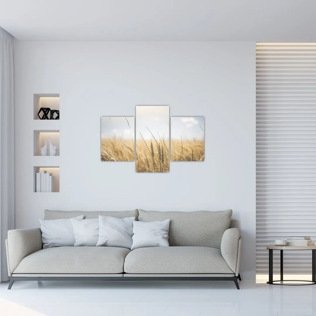 Tablou cu grâne (90x60 cm)