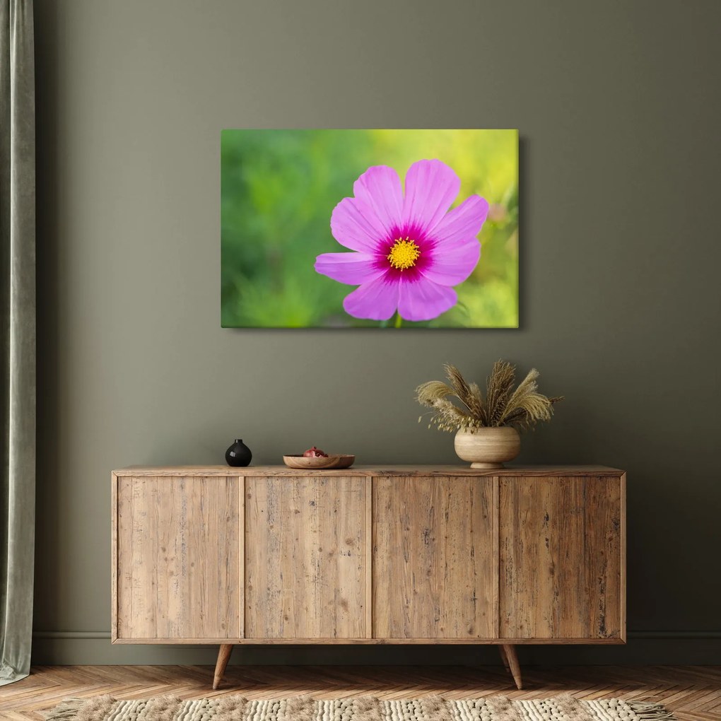 Tablou - floare de câmp (90x60 cm)