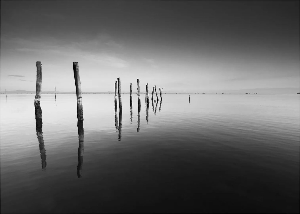 Tablou pe sticlă cu nivelul de lac alb negru (70x50 cm)