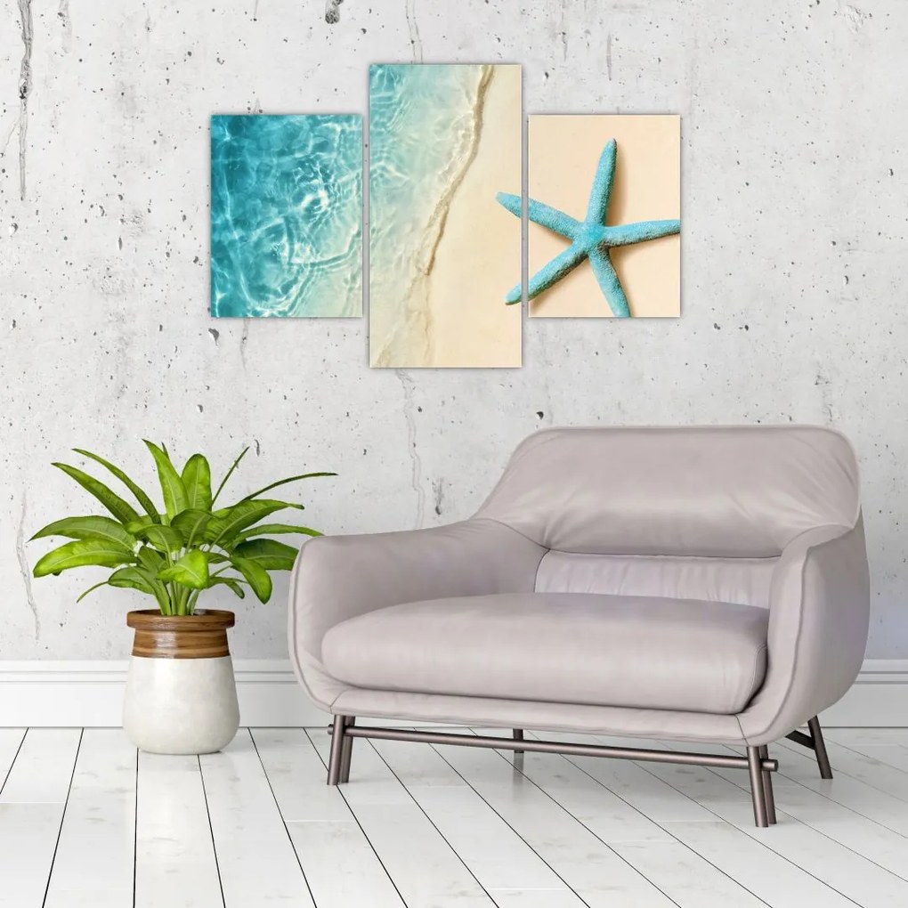 Tablou - Stea de mare pe plajă (90x60 cm)