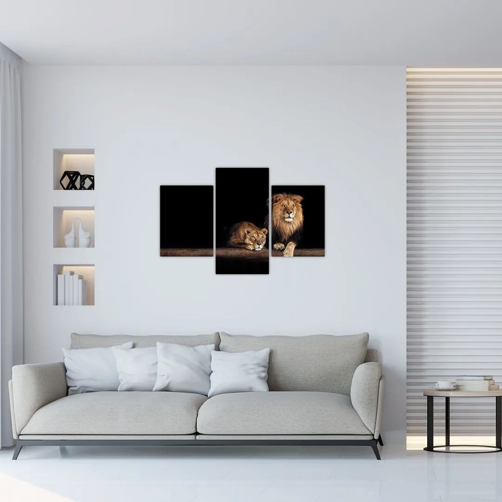 Tablou - Leu și leoaică (90x60 cm)