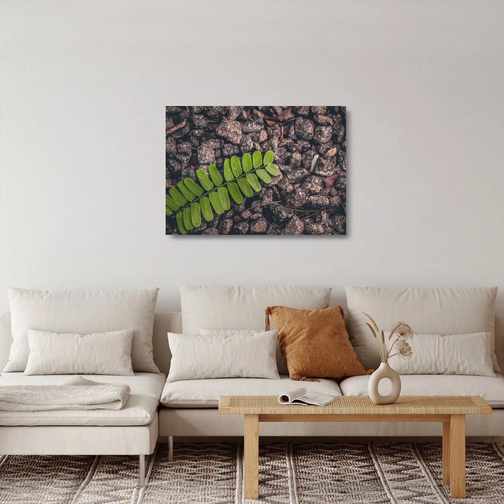 Tablou pe sticlă cu planta verde (70x50 cm)