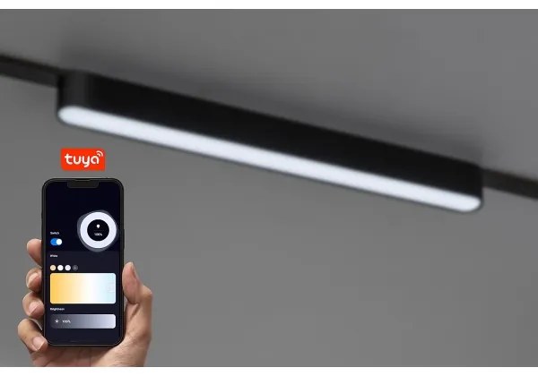 Plafonieră LED dimabilă pentru sistem de șină monofazic Rabalux 70124 LiTrack 16W/24V 33 cm