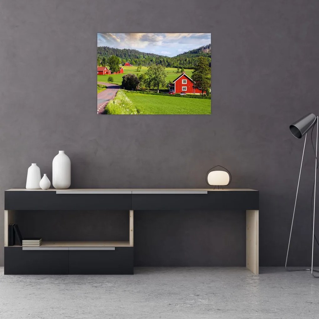 Tabloul cu țară (70x50 cm)