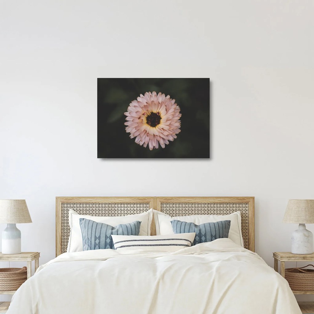 Tablou pe sticlă cu floare portocalie (70x50 cm)