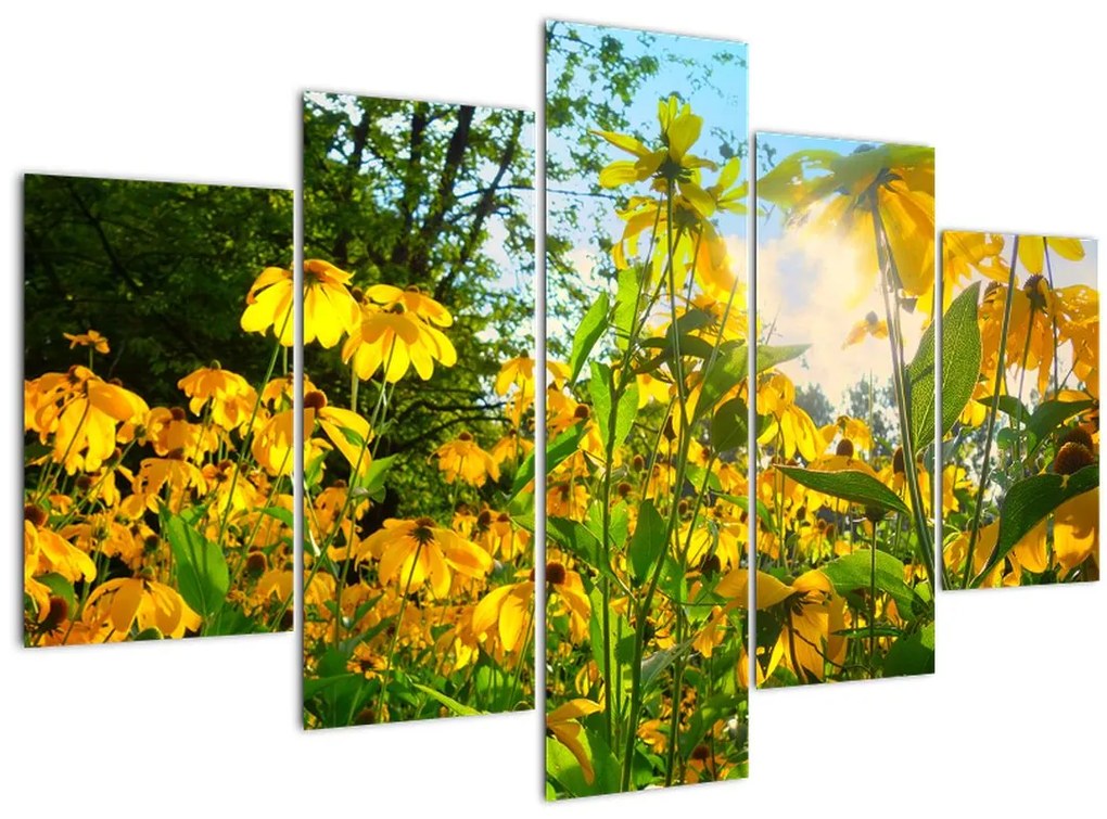 Tablou - Flori galbene (150x105 cm)