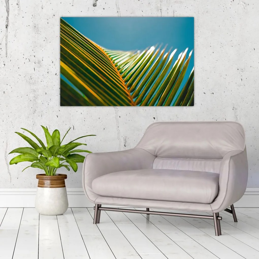 Tablou - Frunze de palmier (90x60 cm)