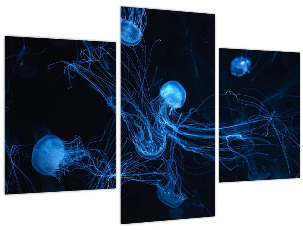 Tablou - Meduză (90x60 cm)