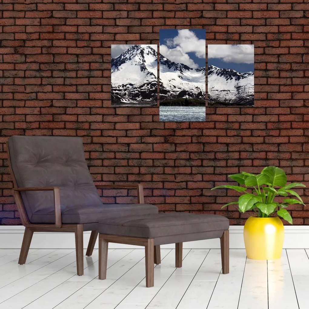 Tablou - Parcul Național Kenai Fjords (90x60 cm)