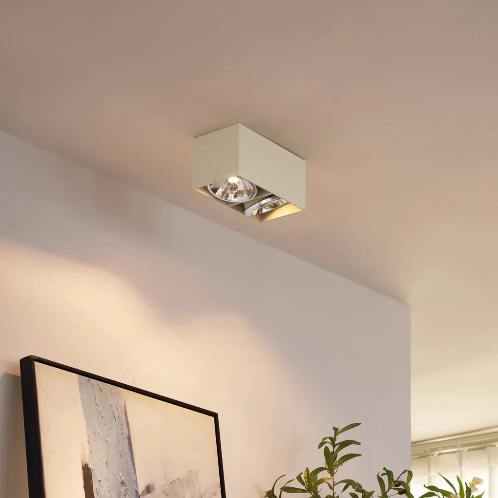 Spotlight modern de perete bej, reglabil, cu 2 lumini - Box