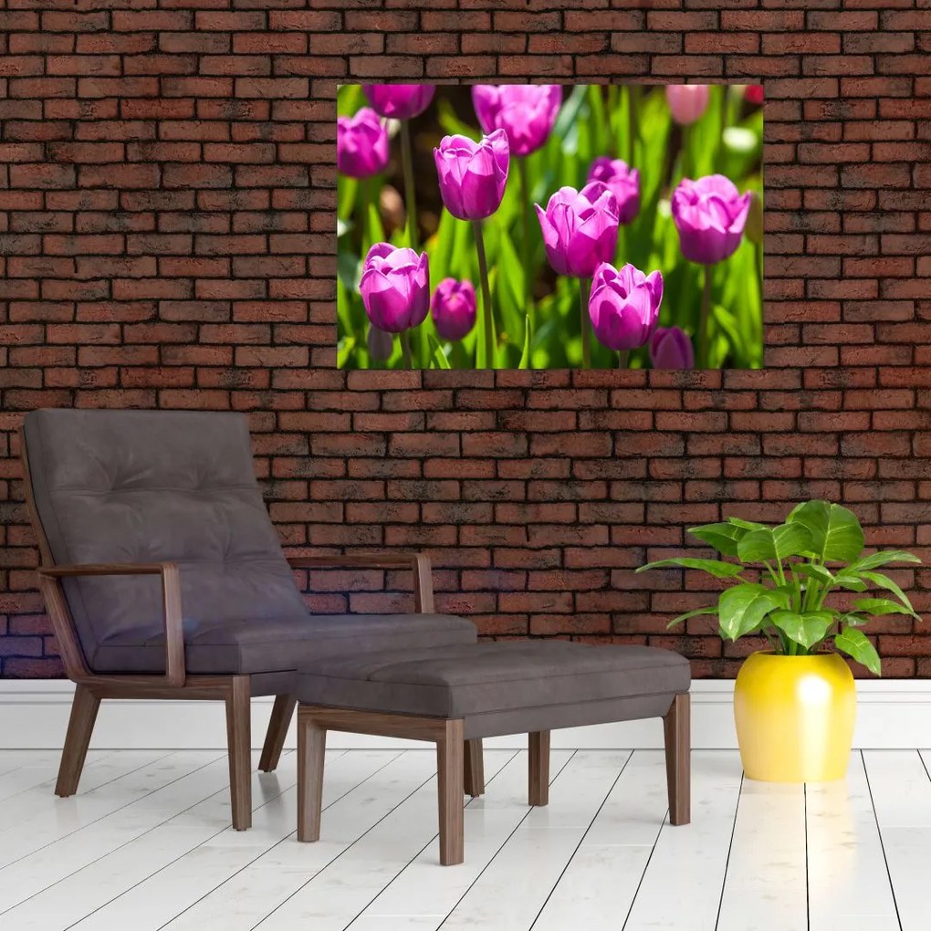 Tablou cu lale pe luncă (90x60 cm)