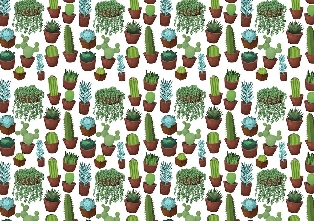 Fototapet - Cactus (254x184 cm)
