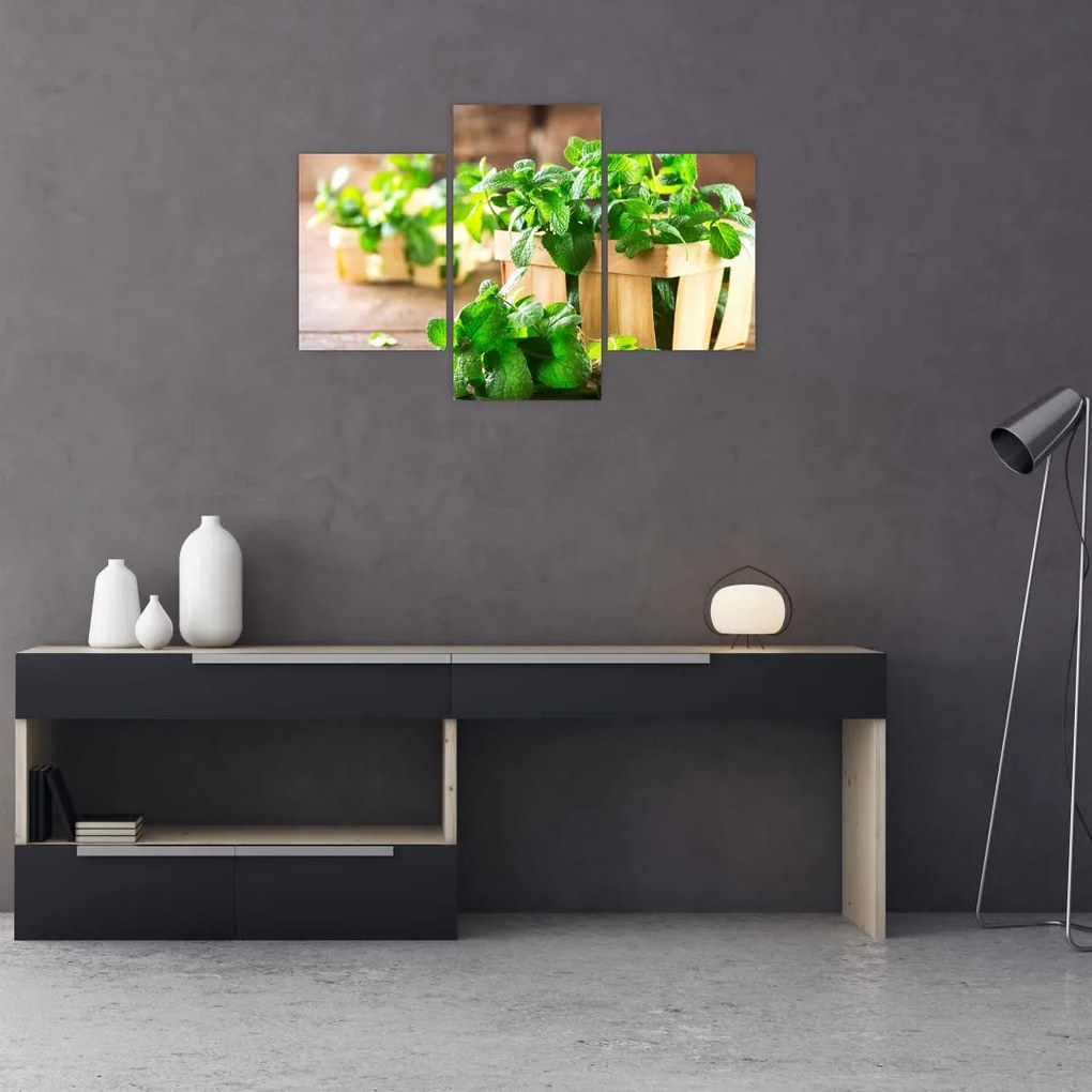Tablou cu menta proaspătă (90x60 cm)