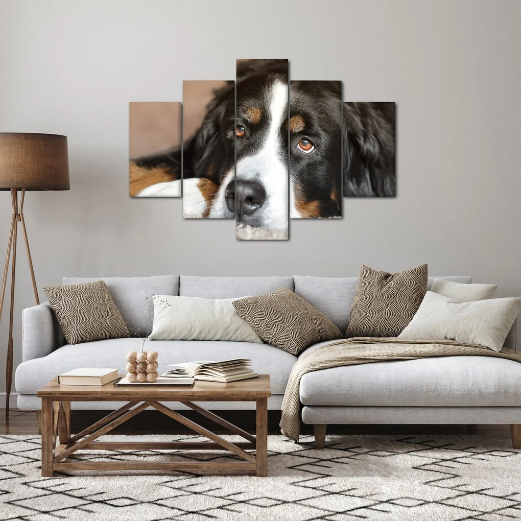 Tablou cu câine (150x105 cm)